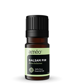 Balsam Fir Essential Oil