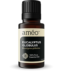 Eucalyptus Globulus Essential Oil