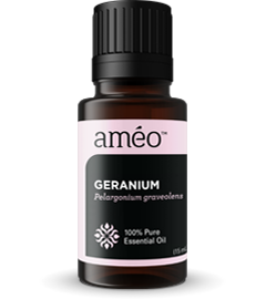 Geranium Essential Oil