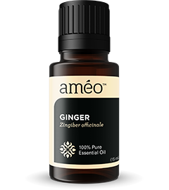 Ginger Essential Oil