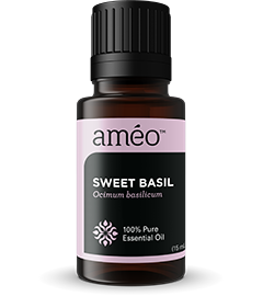 Sweet Basil Essential Oil