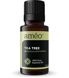 Tea Tree Essential Oil